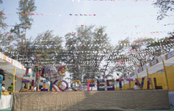 Chikoo Festival - 2019