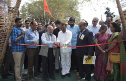 Chikoo Festival - 2019