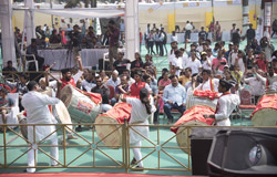 Chikoo Festival - 2019
