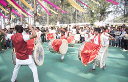 Chikoo Festival - 2019