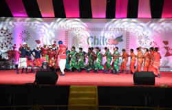 Chikoo Festival - 2019