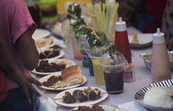 Chikoo Festival - 2019