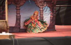 Chikoo Festival - 2019