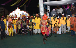 Chikoo Festival - 2019