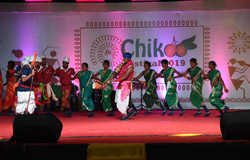 Chikoo Festival - 2019