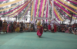 Chikoo Festival - 2019