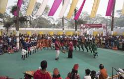 Chikoo Festival - 2019