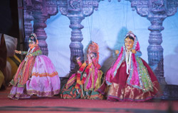 Chikoo Festival - 2019